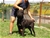 Ch. MASCALZONE LATINO - Triola Cane Corso